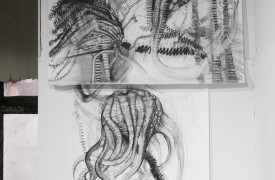 Joianne Bittle, Crinoid (Indiana) and Crinoid (West Texas) sections of Back to the Drawing Board Fossil Matrix Wall, 2014